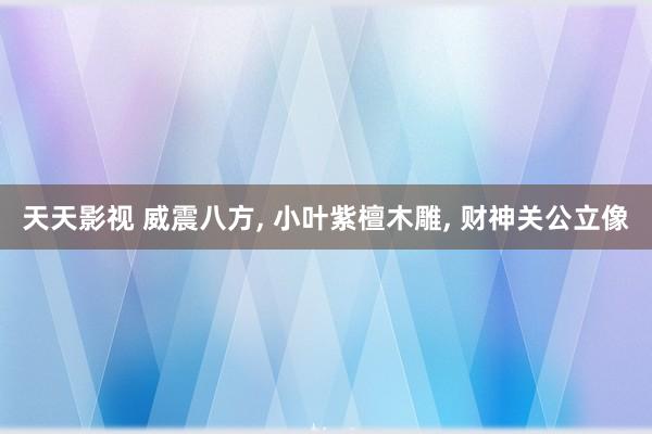 天天影视 威震八方， 小叶紫檀木雕， 财神关公立像