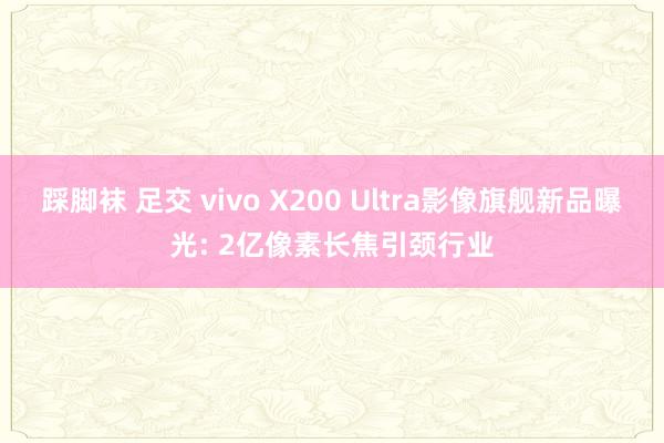 踩脚袜 足交 vivo X200 Ultra影像旗舰新品曝光: 2亿像素长焦引颈行业